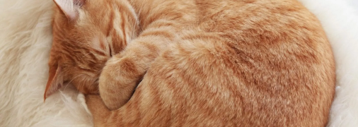 Последние зимние морозы: в каких областях еще будут минусовые температуры в феврале