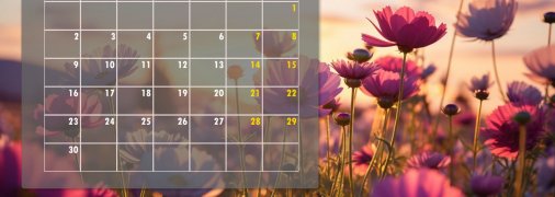 Что будут отмечать украинцы в июне 2025