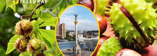 Визуальный символ столицы Украины