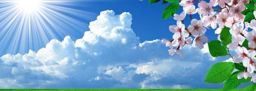 Прощавайте, заморозки: синоптики розповіли про погоду у найближчі дні