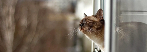 В Украину несется потепление до +12: каким областям повезет больше всего