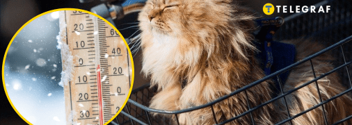 В Киеве ожидается кратковременное потепление