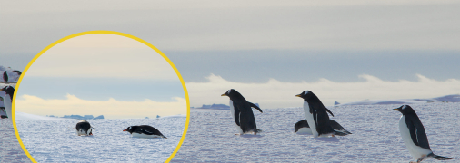 Необычные облака