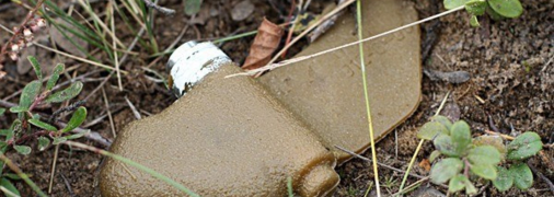 Так виглядає "міна-метелик" вона ж "міна-пелюстка"