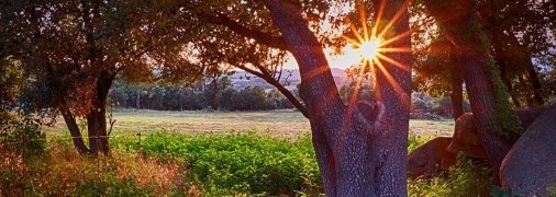 Бабине літо цієї осені буде нетривалим