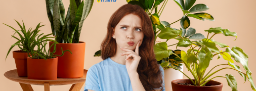 Есть три преимущества