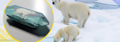 Иллюстративное фото