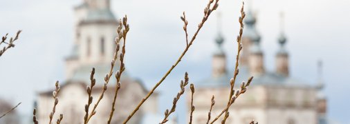 Верба на фоне церкви