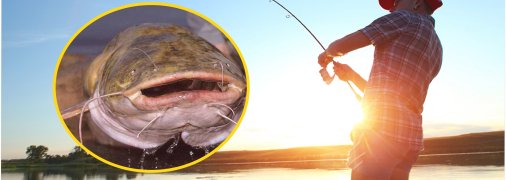 Коллаж, "Телеграф"