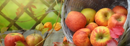 Фото: pixabay.com