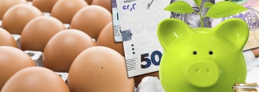В Україні перед Великоднем сталося "диво" з яйцями: хто збив ціни на важливий продукт