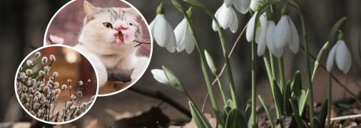 Погода в марте