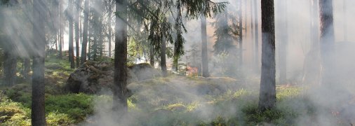 Ілюстративне фото