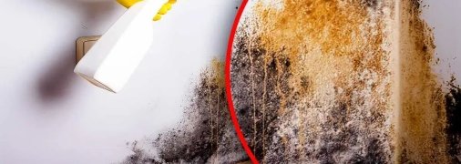 Химические средства против плесени можно заменить на натуральные