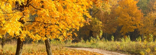 Погода в Украине в октябре