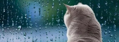 Погода на найближчий тиждень