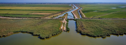 Південний берег озера Китай з каналом Кофа, що впадає в нього, 2020 рік