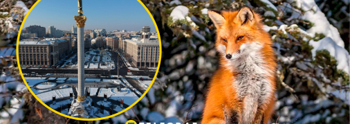 Погода в Киеве