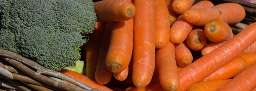 Броколі та морква – холодостійкі культури