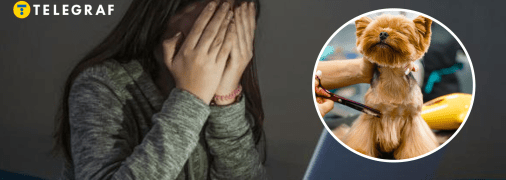 В Киеве скандал из-за жестокого обращения с животными