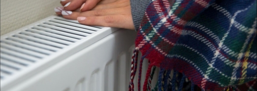 Как выжить этой зимой?