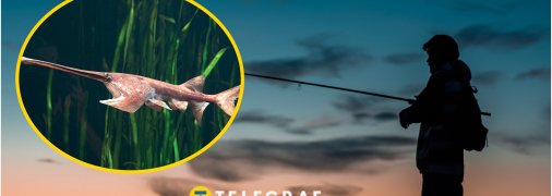 Риболовля - захоплення багатьох українців