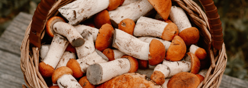 Як їх правильно висушити