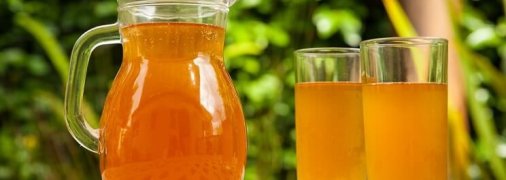 Як приготувати напій з чайного гриба