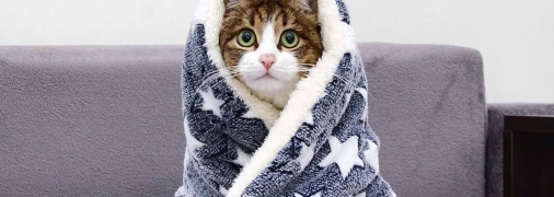 Температура опустится до -6°C: синоптик назвал даты сильного похолодания в Украине