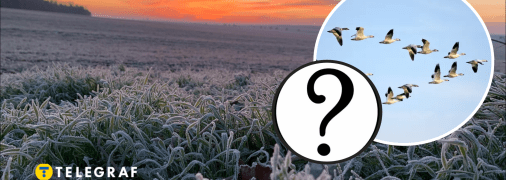 Похолодание