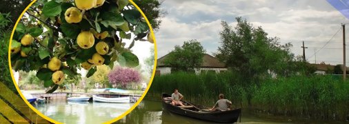 Иллюстративное фото