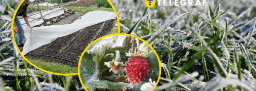 Заморозки у травні