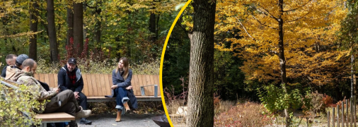 Терапевтический сад