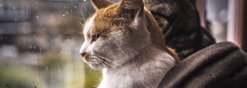 Когда закончатся дожди в Украине: синоптик назвал точную дату