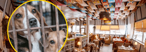 Узбекский ресторан