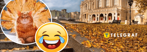 Меми про осінь та похолодання