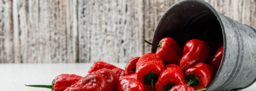 Квашений перець - чудова закуска на зиму