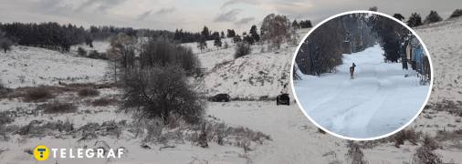 Косуля в Київській області