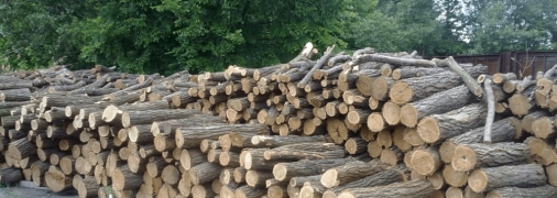 Україна заборонить вивіз деревного палива, щоб забезпечити дровами людей і війська
