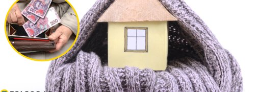 Зимова підтримка