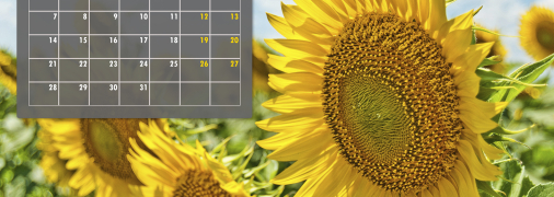 Календар свят на липень 2025