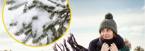 Прогноз погоды на зиму 2026 в Украине