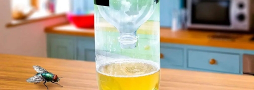 Как сделать ловушку для мух недорого - инструкция