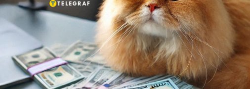 Сделали расклад Таро на работу и финансы для каждого знака Зодиака на 2025 год