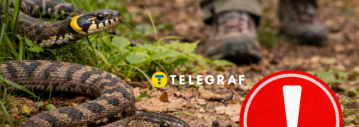 Як уберегтися від змій