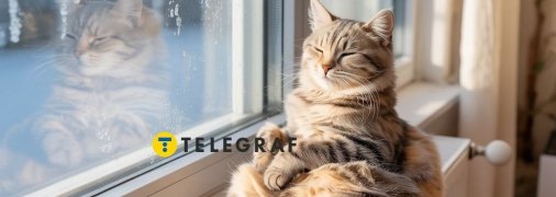 Кот на батарее греется