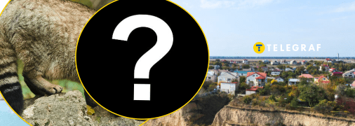 Уникальное животное засветилось в Одесской области