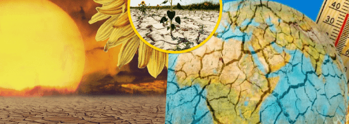 В Україні вирощуватимуть нові сорти культур