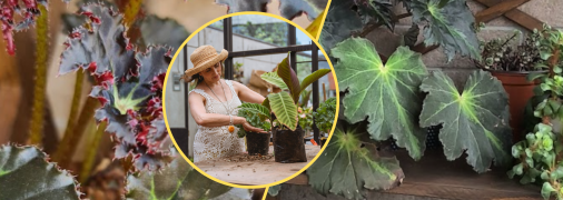 Коллаж "Телеграф"