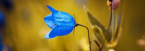 Какие завтра праздники: традиции и приметы на 8 июня